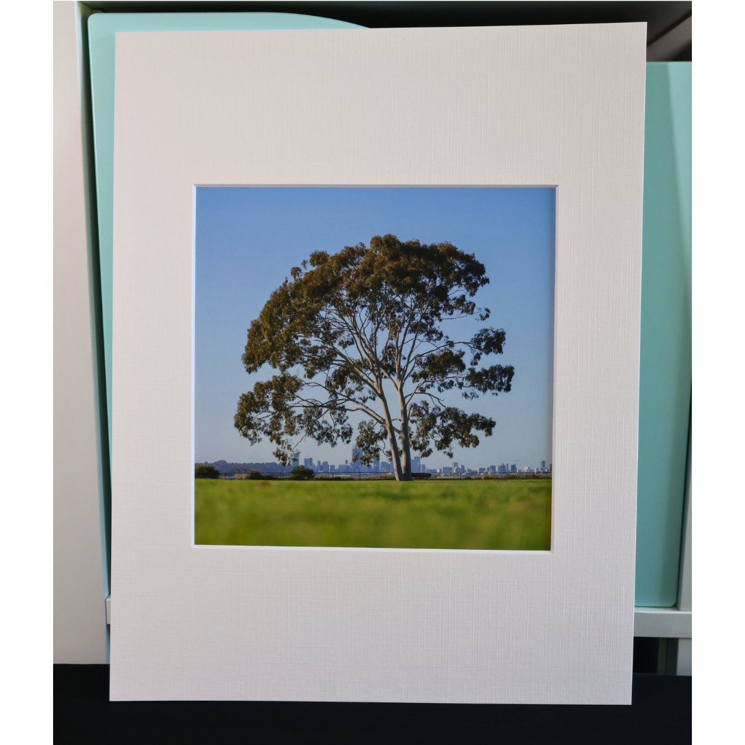 8×8 Fine Art Photography Print – Australian Landscape & Wildlife