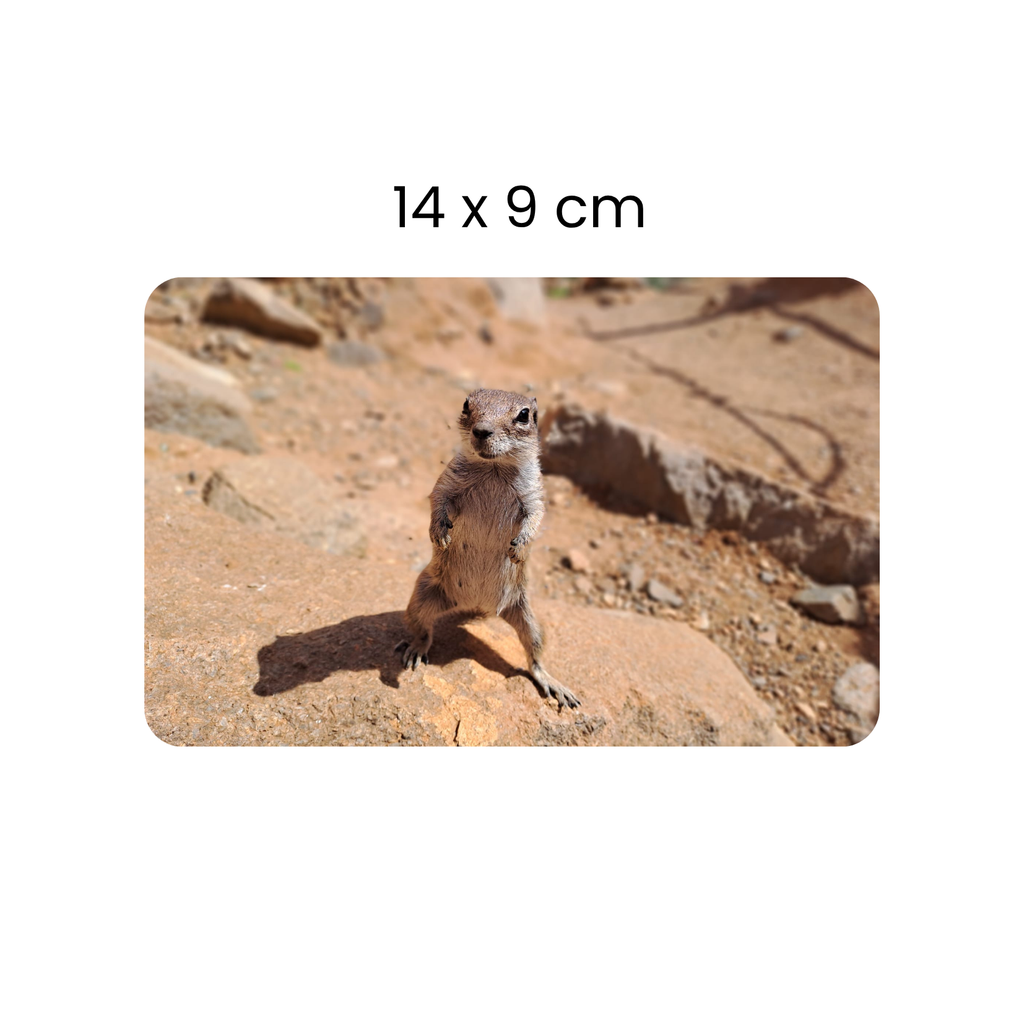 XL Flexi Magnets