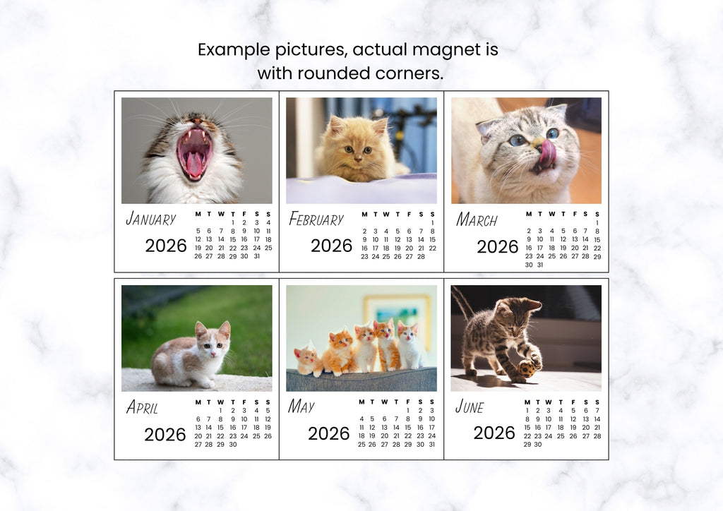 Cats 2026 Calendar Magnet