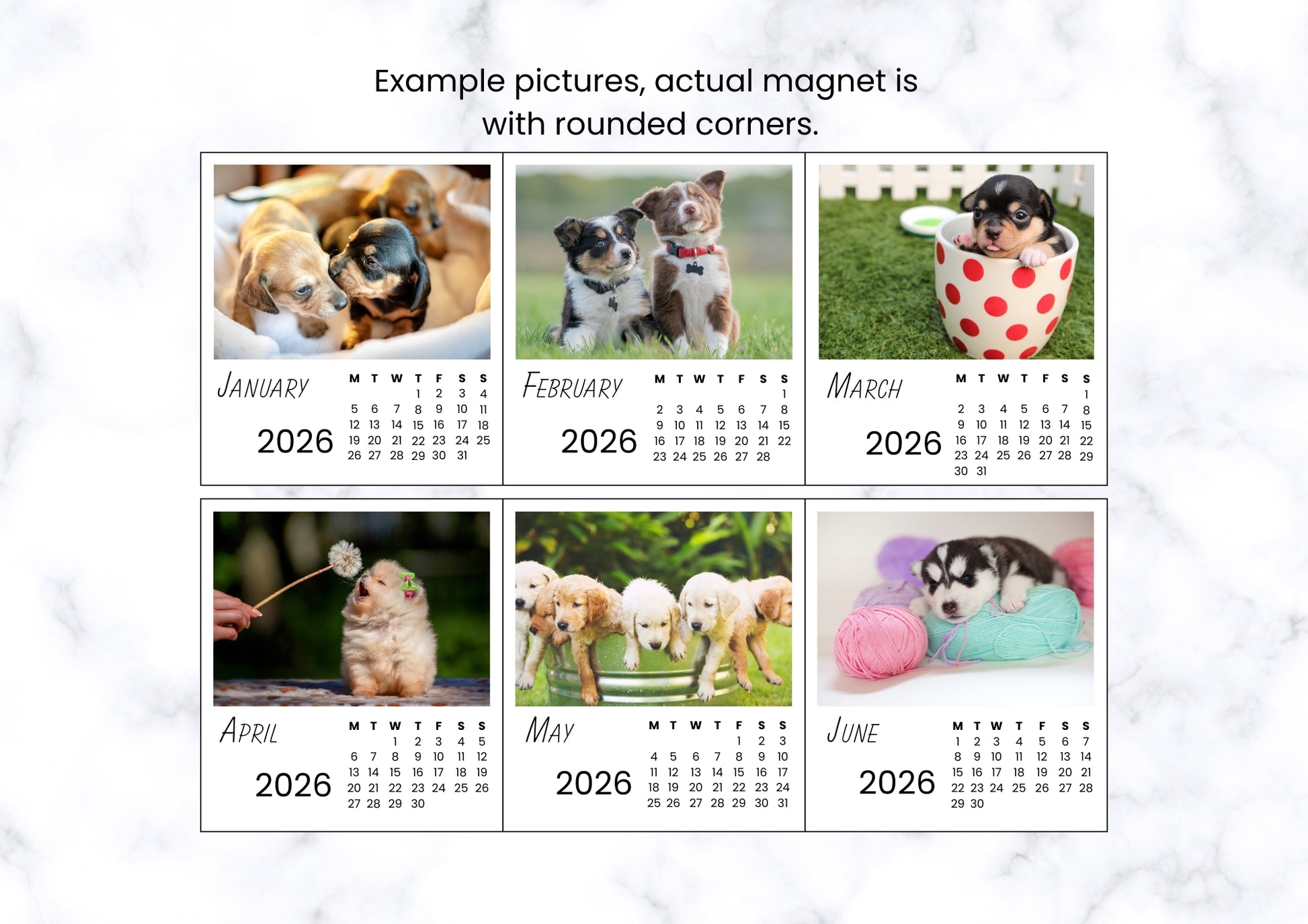 Dogs 2026 Calendar Magnet