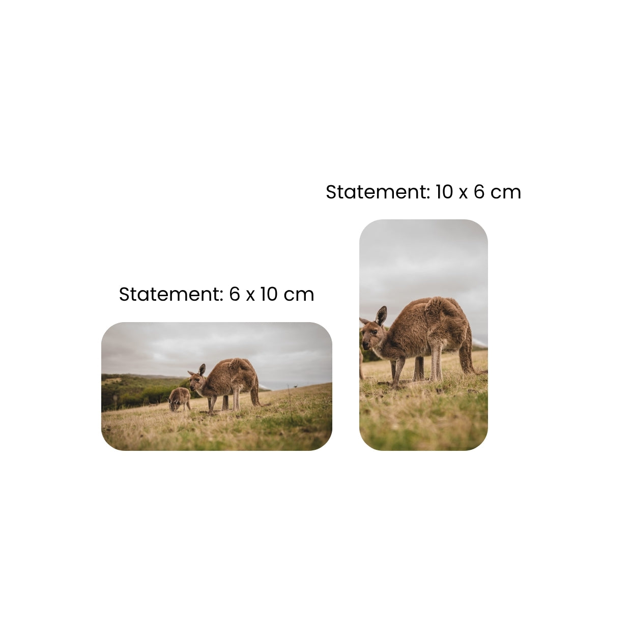 Flexi Photo Magnets (3 Sizes)