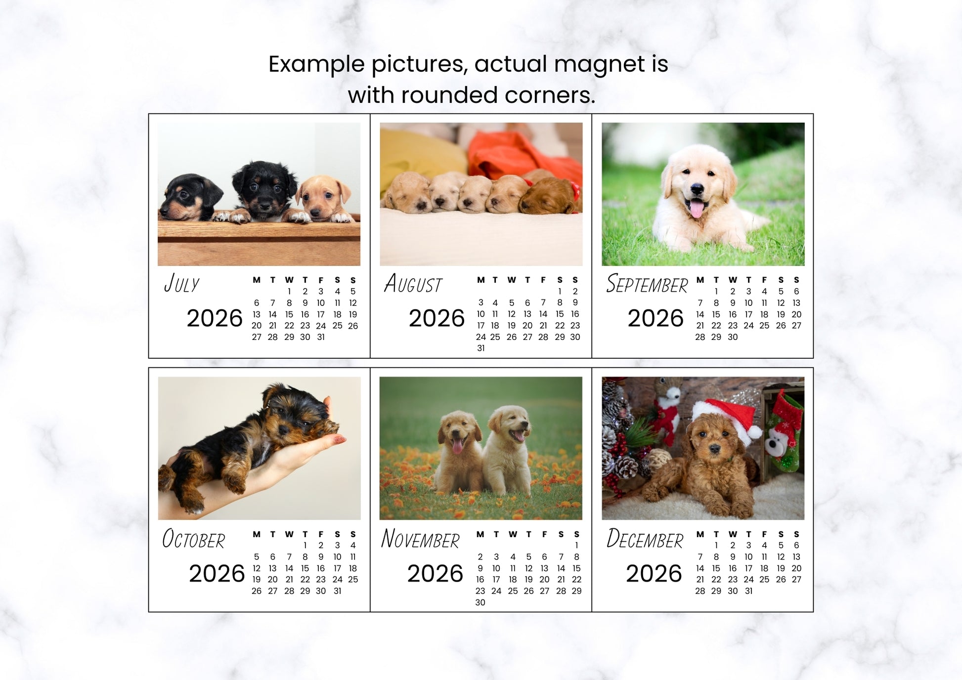 Dogs 2026 Calendar Magnet
