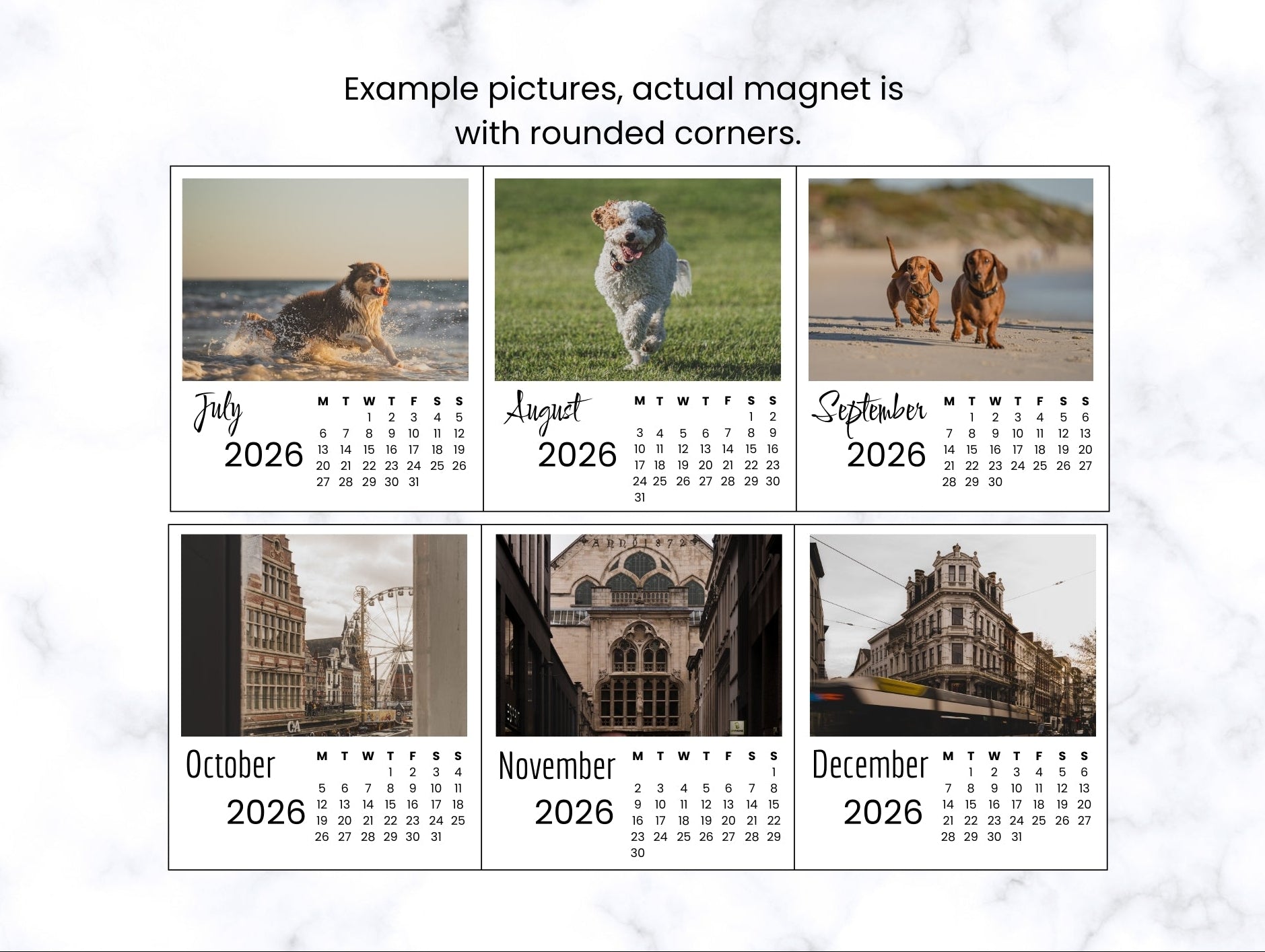Custom 2026 Photo Calendar Magnet