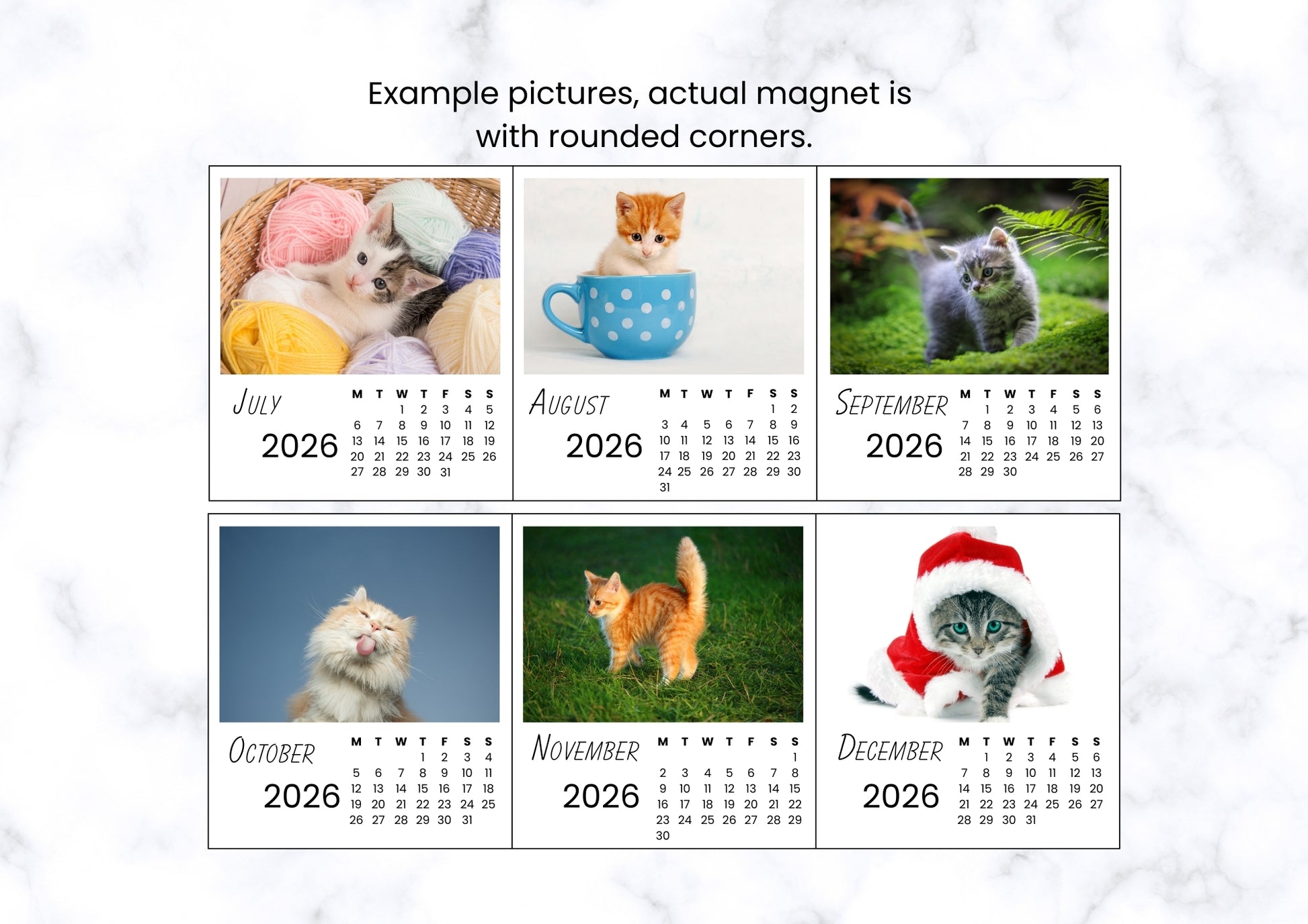 Cats 2026 Calendar Magnet