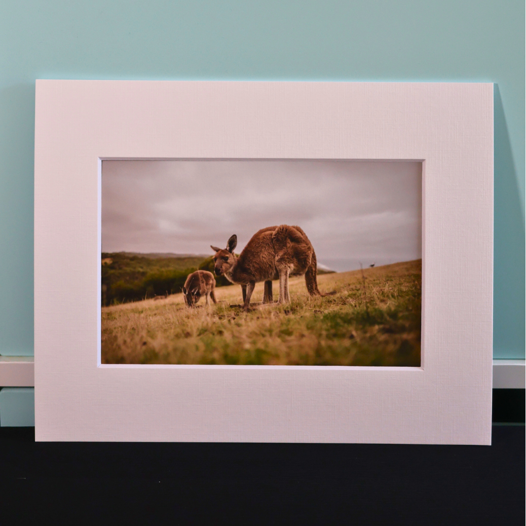 5 × 7.5 Fine Art Photography Print – Australian Landscapes