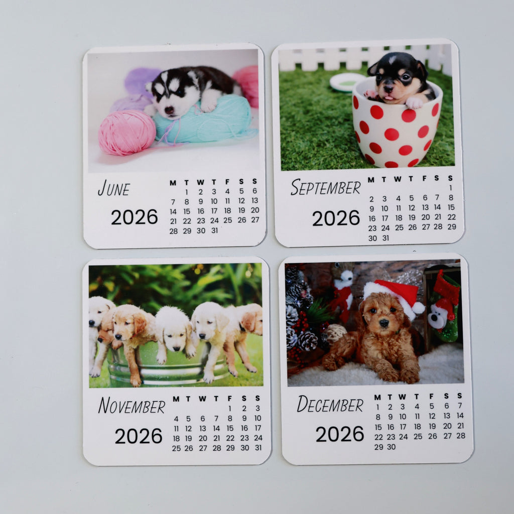 Dogs Calendar 2026