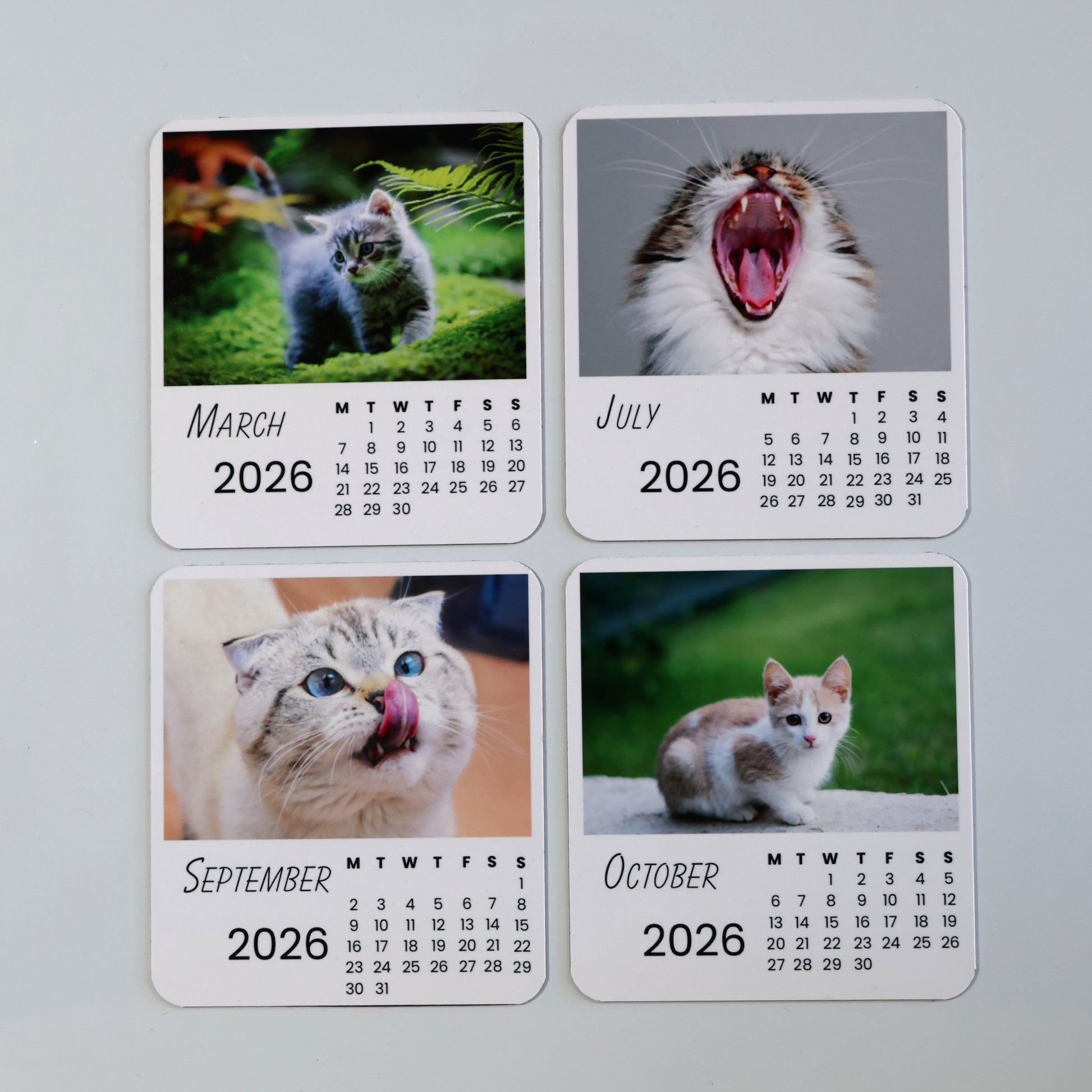 Cats Calendar 2026
