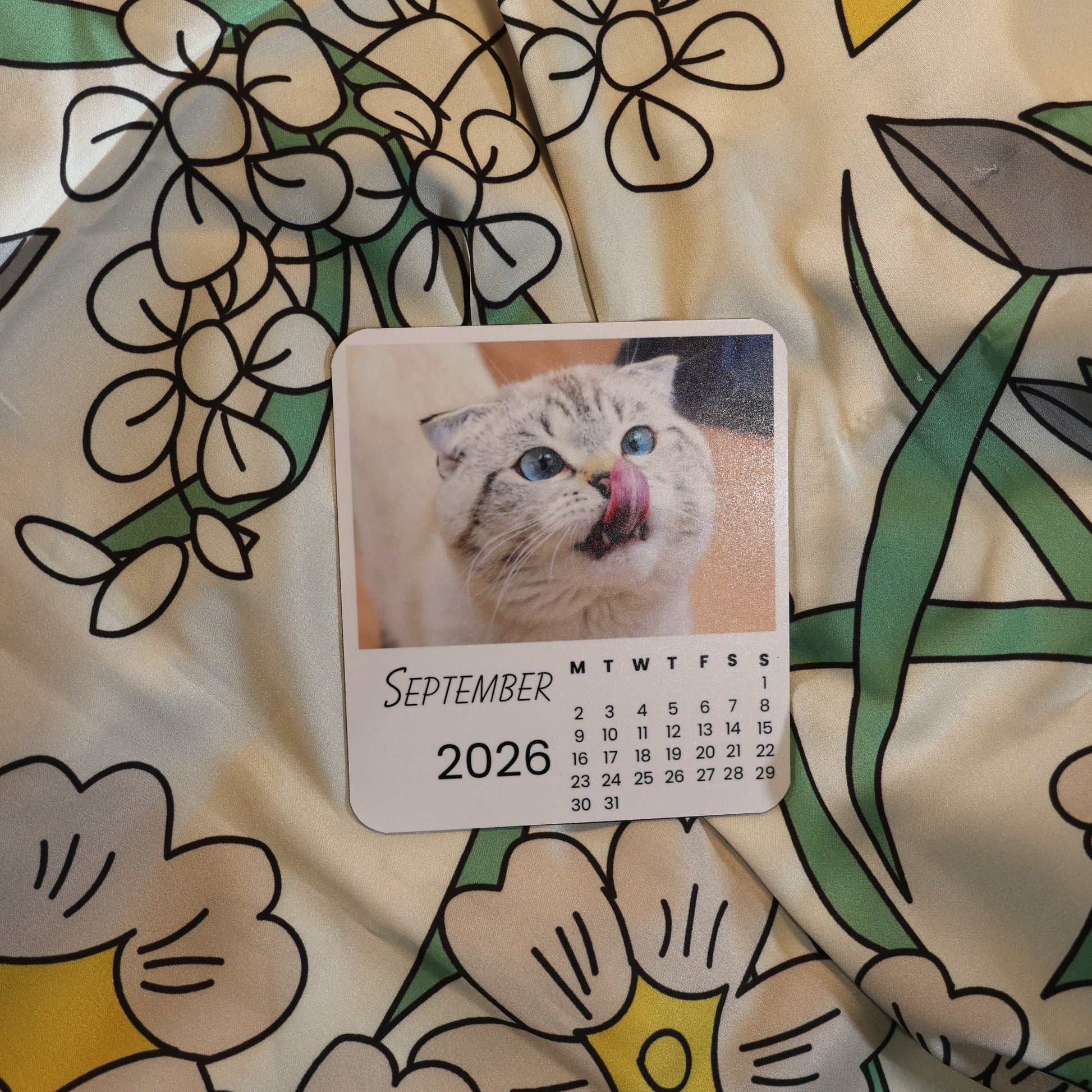 Cats Calendar 2026