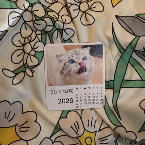 Cats Calendar 2026