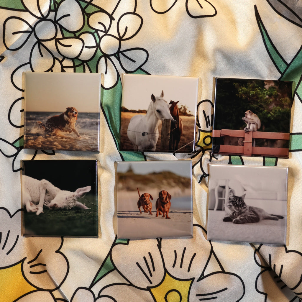 Custom Mini Magnets (5 x 5 cm)