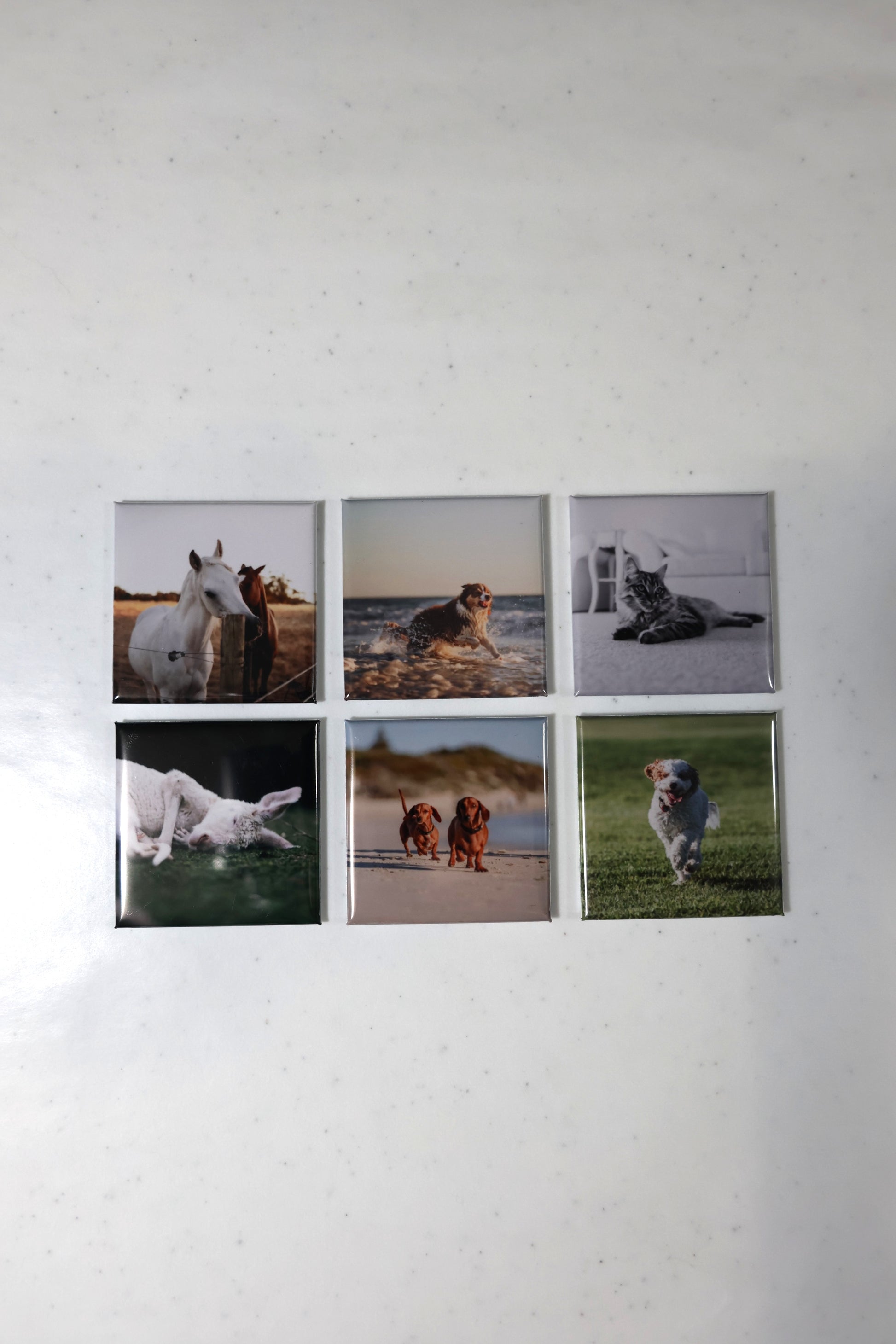 Building & Animal Magnets — 5×5 cm | Mix & Match