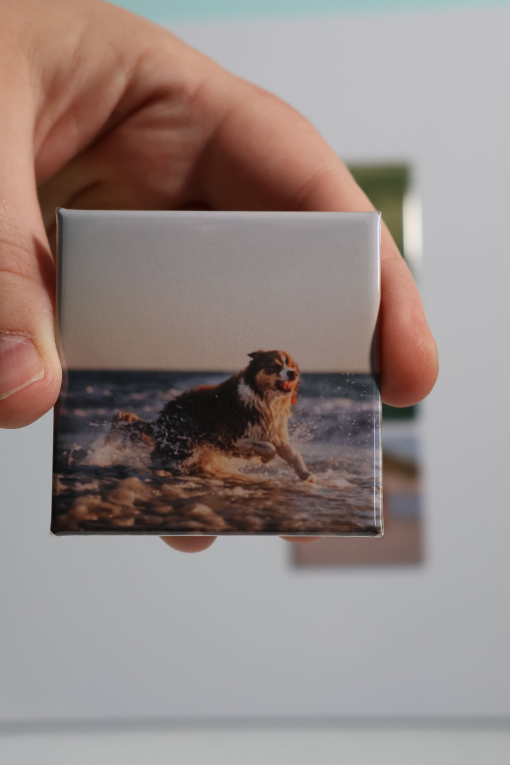 Animal Magnets (5.2 x 5.2 cm)