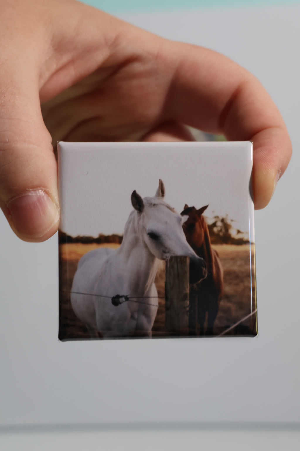 Animal Magnets (5.2 x 5.2 cm)