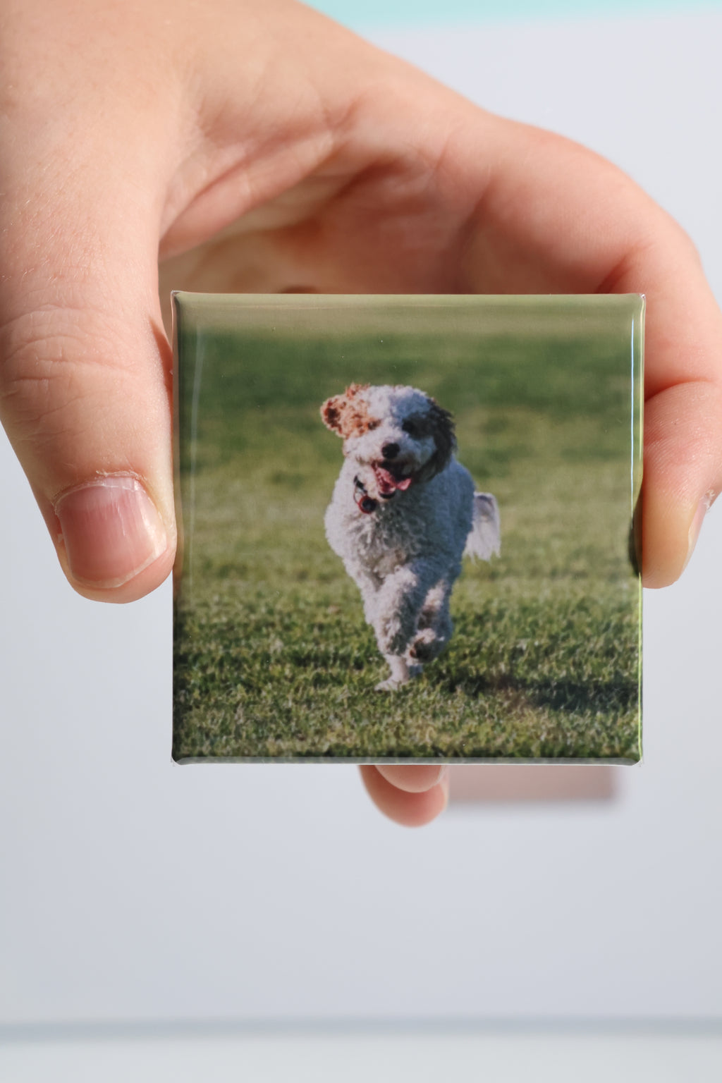 Animal Magnets (5.2 x 5.2 cm)