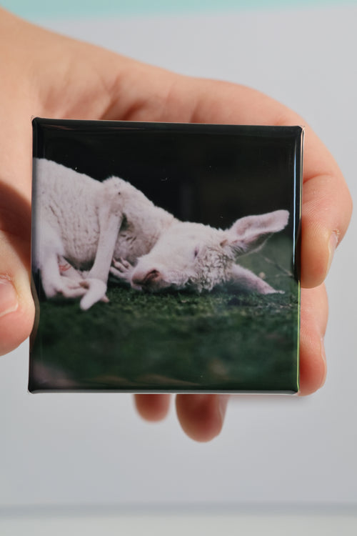 Custom Photo Magnets (5.2 x 5.2 cm)