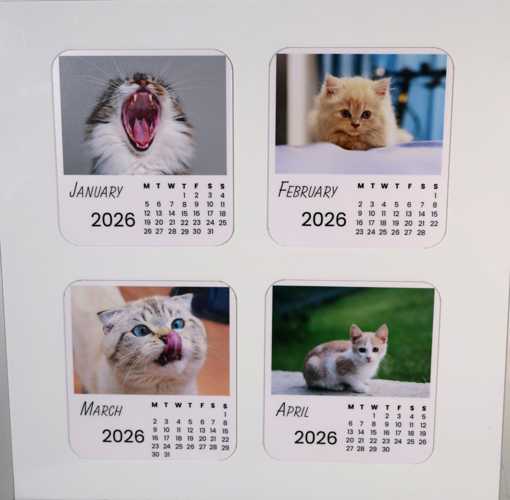 Cats 2026 Calendar Magnet