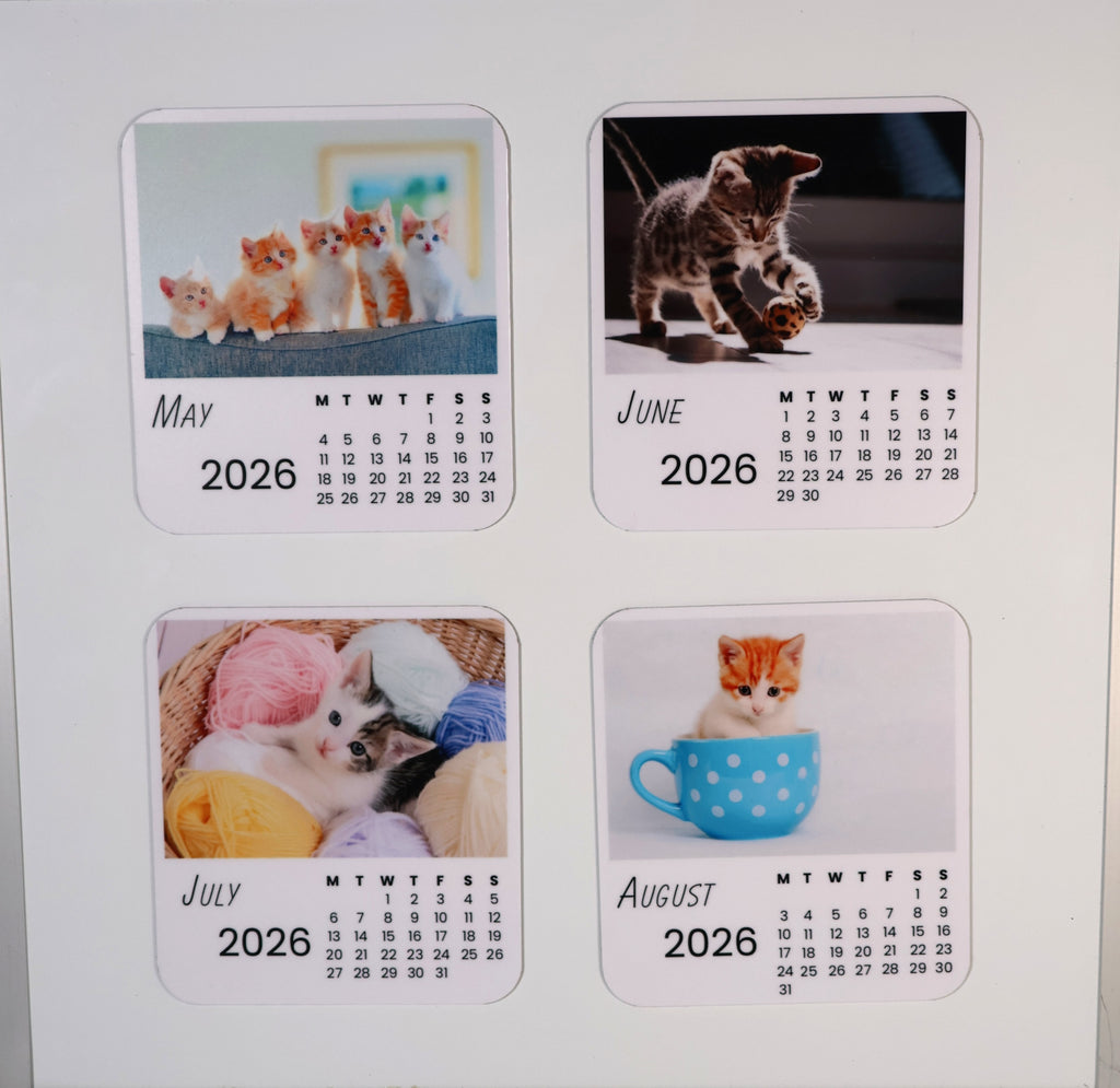 Cats 2026 Calendar Magnet