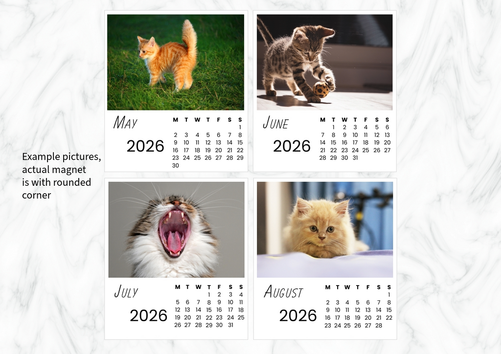 Cats Calendar 2026