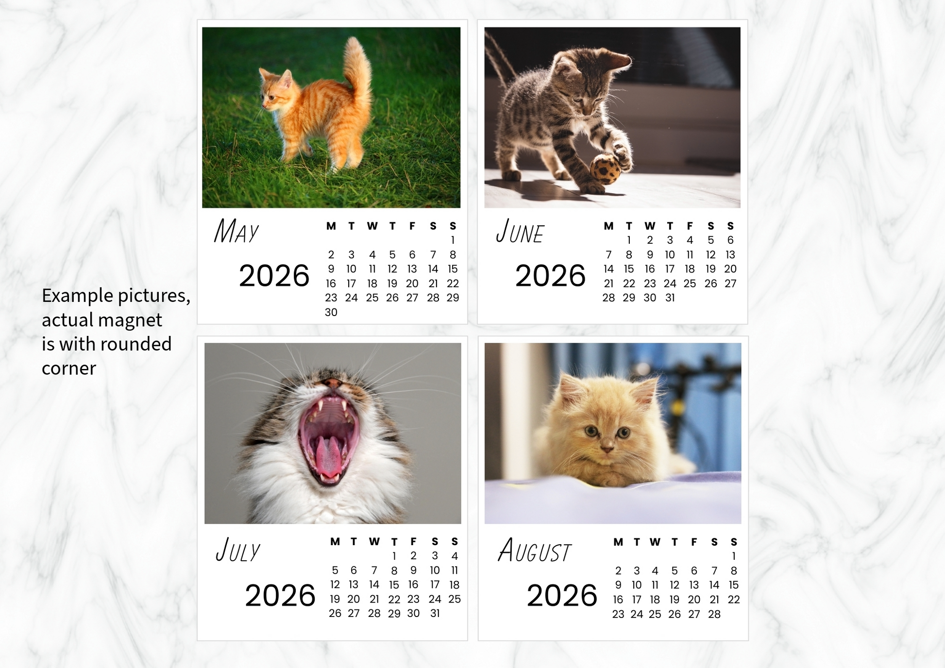 Cats Calendar 2026