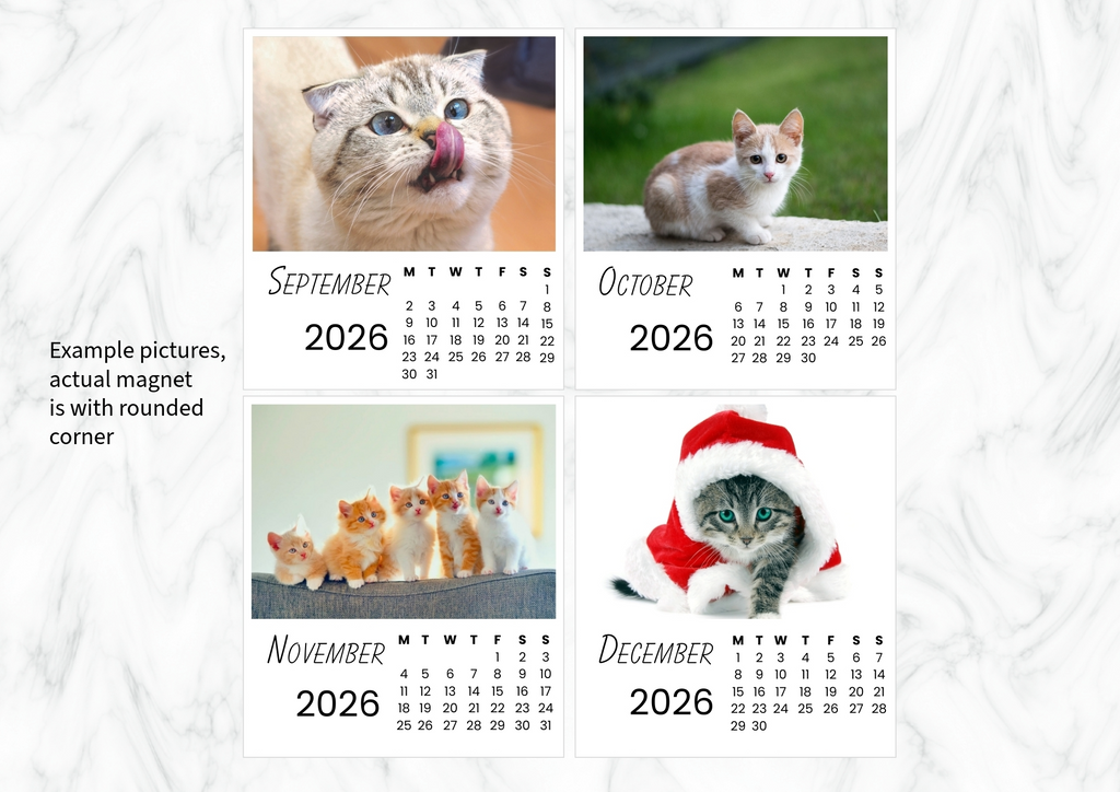 Cats Calendar 2026