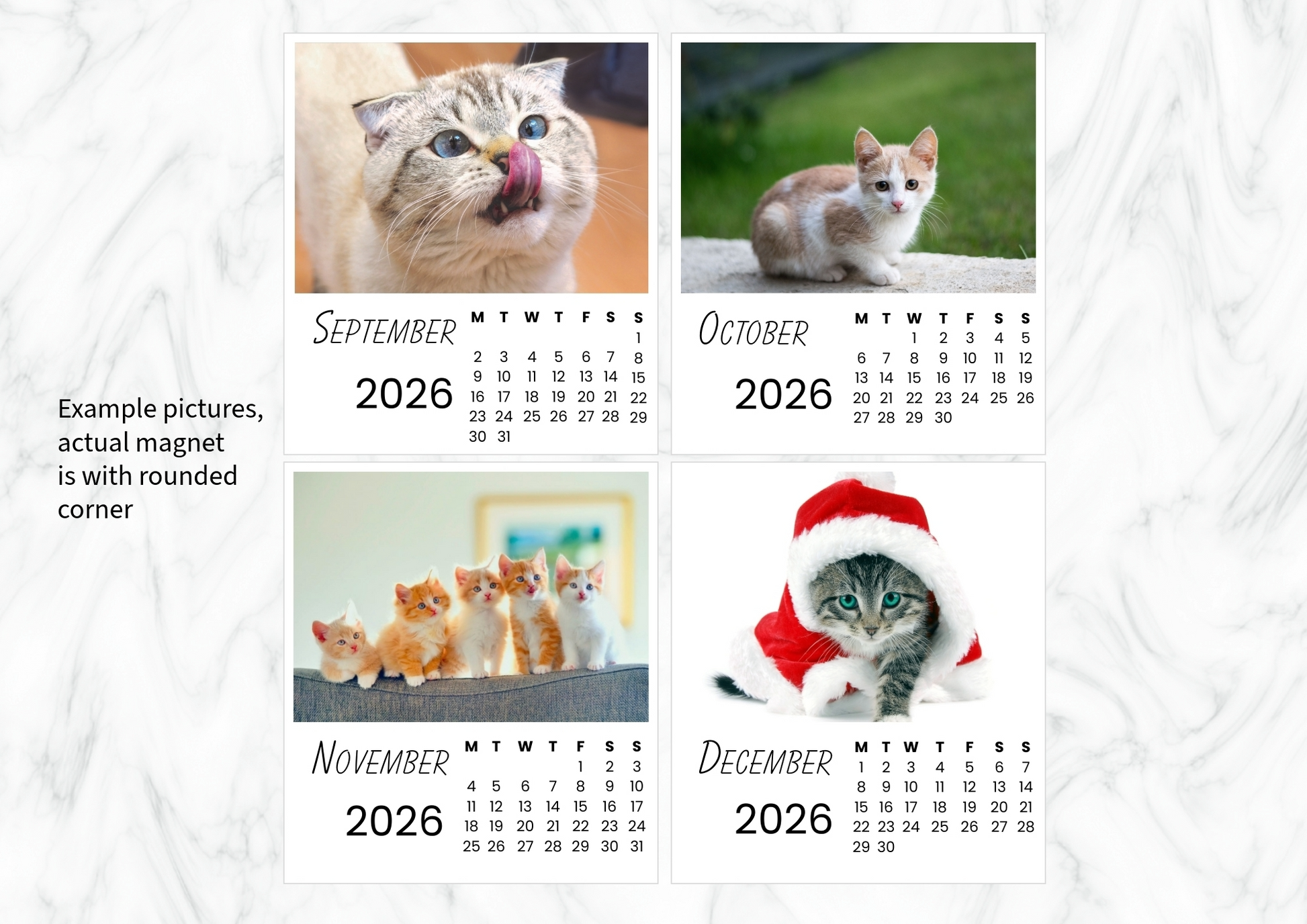 Cats Calendar 2026