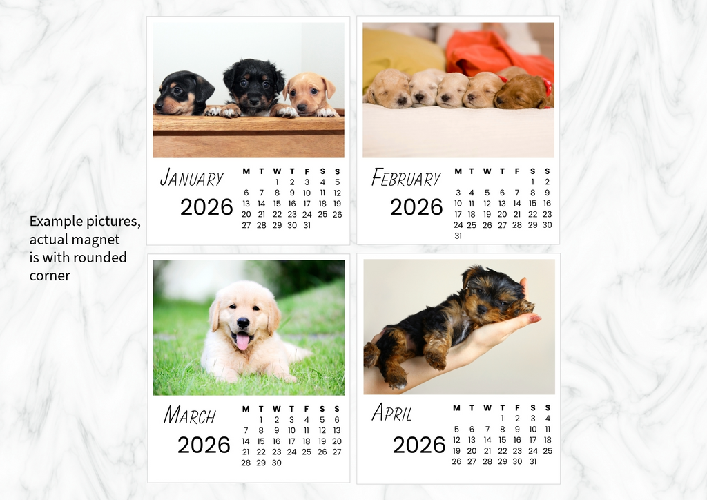 Dogs Calendar 2026