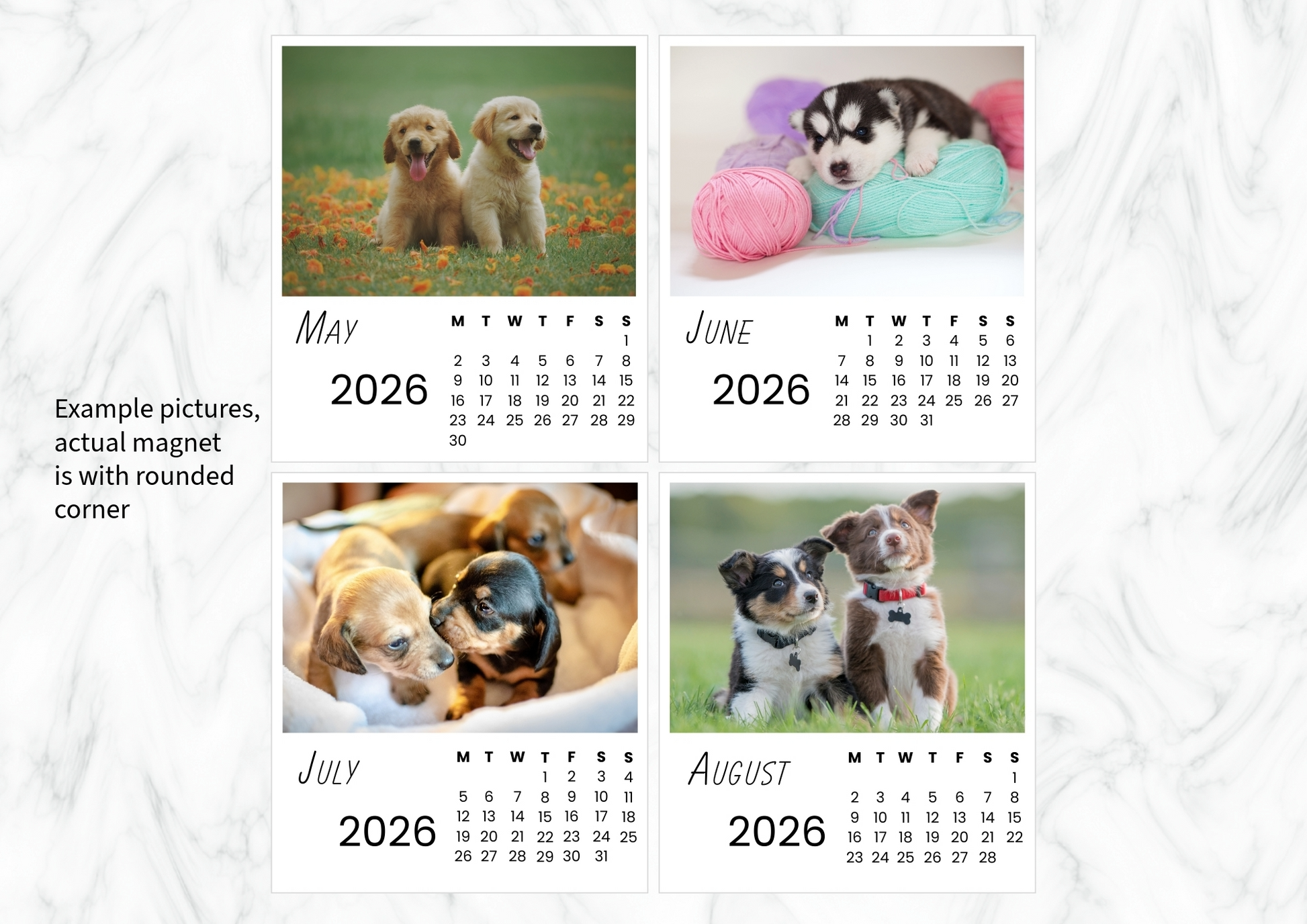Dogs Calendar 2026
