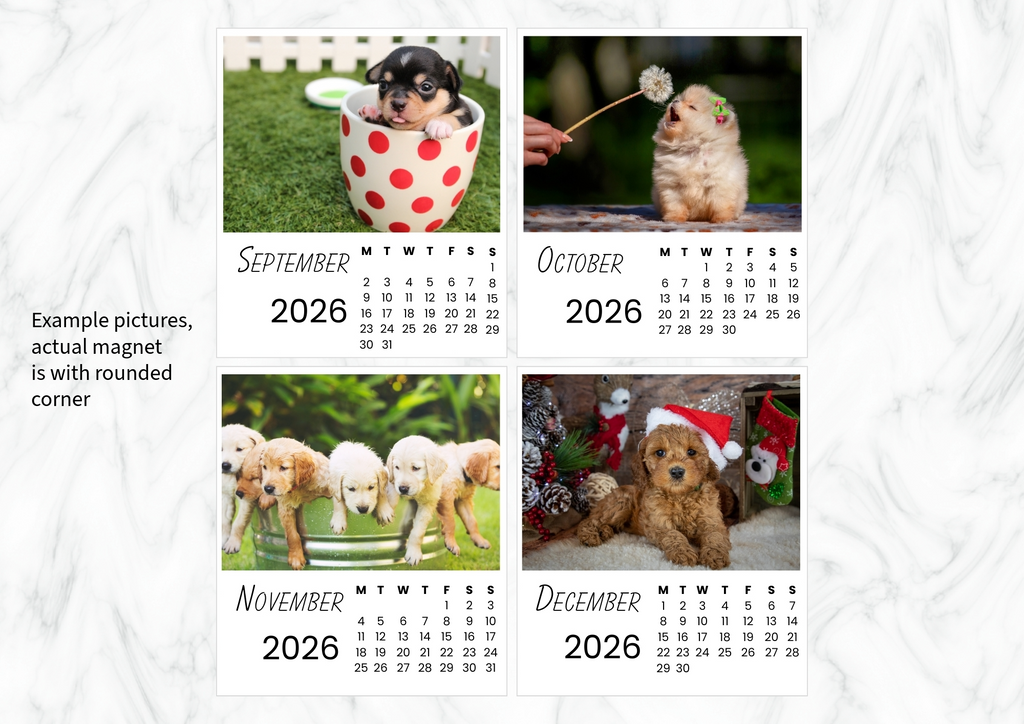 Dogs Calendar 2026