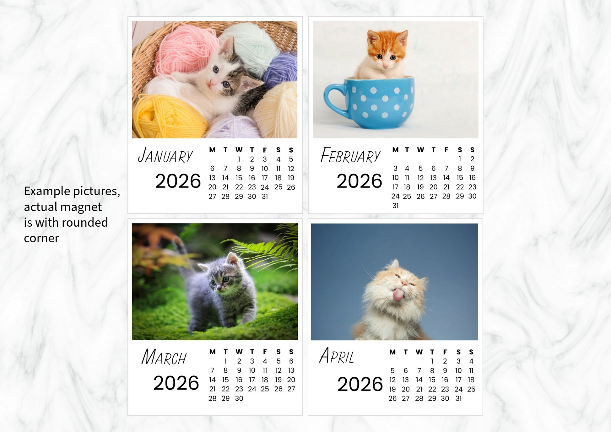 Cats Calendar 2026