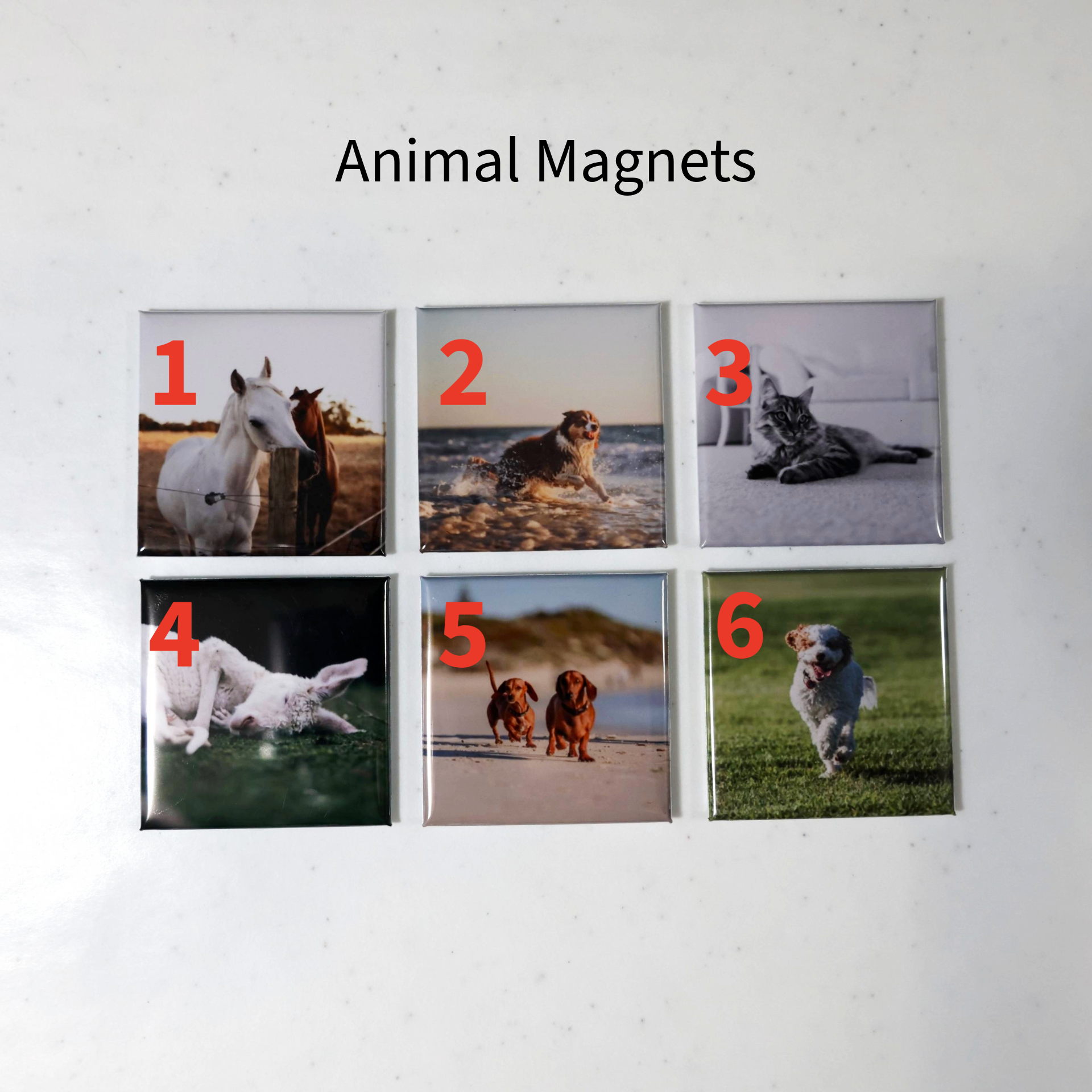 Building & Animal Magnets — 5×5 cm | Mix & Match