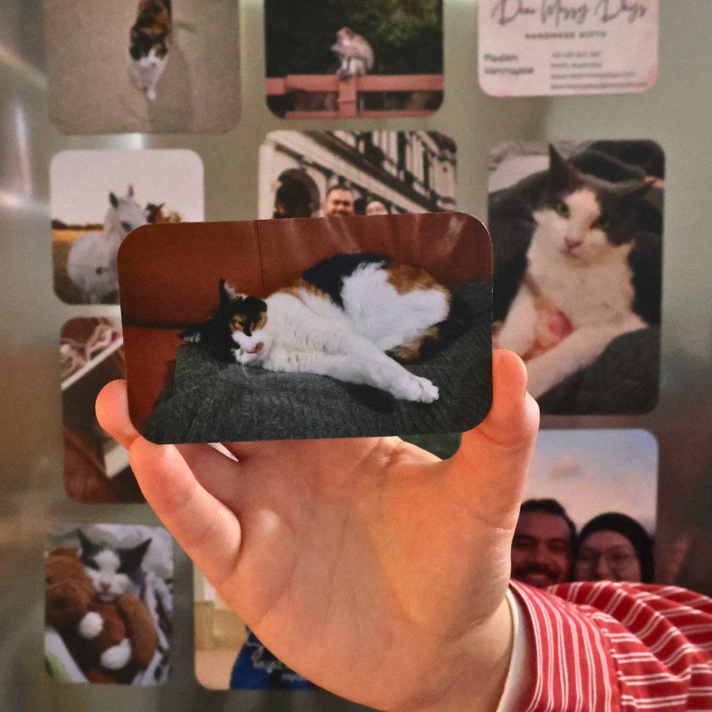 Example statement flexi photo magnets — landscape — with pet photo, handmade in Perth"