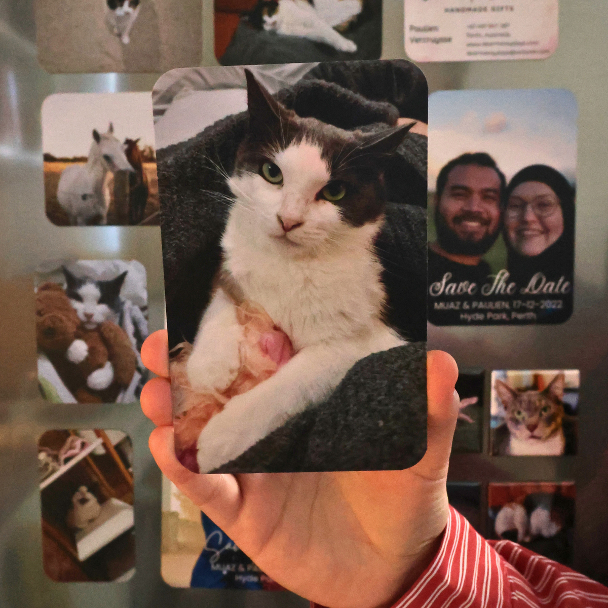 Example XL portrait flexi photo magnet 9x14cm with cat portrait photo, handmade in Perth